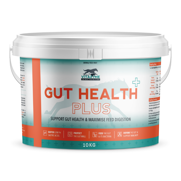 Gut Health Plus