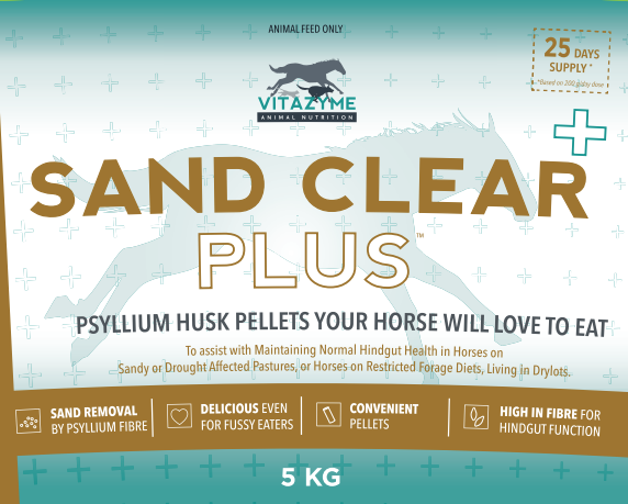 Sand Clear Plus