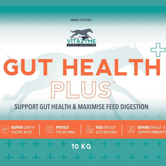 Gut Health Plus